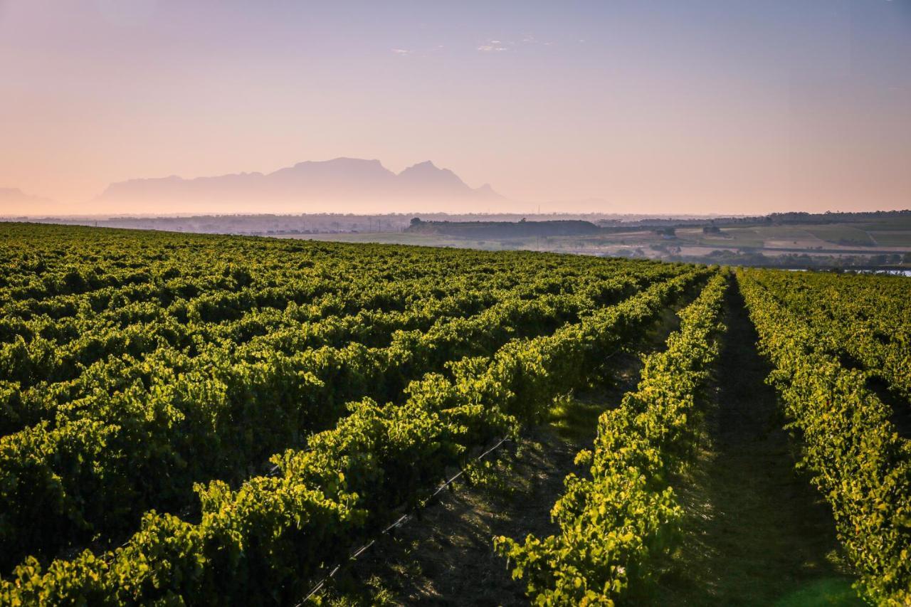 Lyngrove Wines & Guesthouse Στέλενμπος Εξωτερικό φωτογραφία